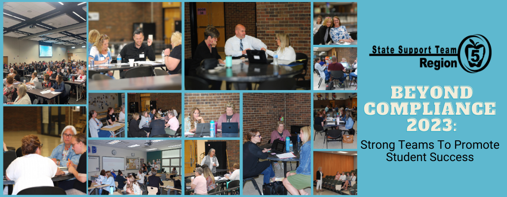 Picture collage with fourteen images, teal blue background, and SST5 logo, from the Beyond Compliance day of learning session on June 6th.  
